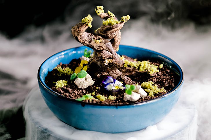 an intricate chocolate bonsai dessert